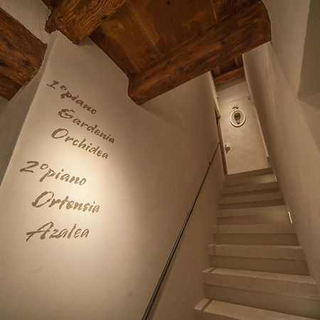 Dimora Corteinfiore Трані Екстер'єр фото